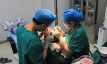 植发手术需要多长时间 影响手术时长的因素