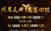 北京熙朵植发新年优惠活动 500毛囊3800元包干植1000送1000