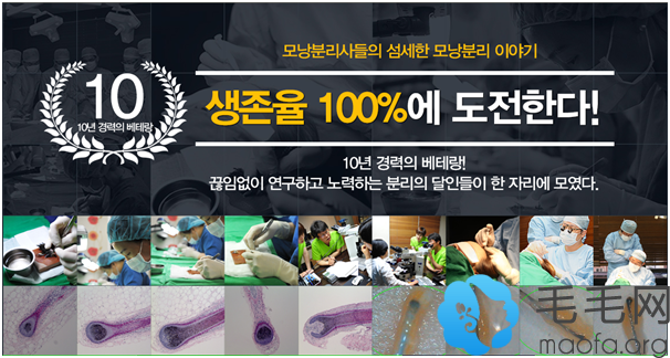 韩国布莱克毛发移植专业整形医院的承诺