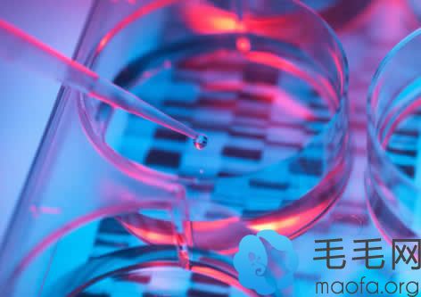 北京博士园研发的毛囊鲜活细胞液