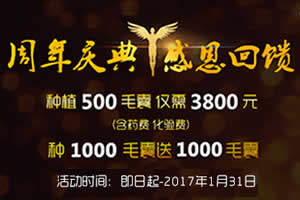 北京熙朵植发新年优惠活动 500毛囊3800元包干植1000送1000