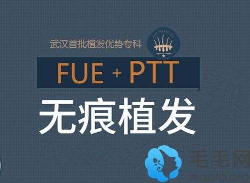 FUE+PTT无痕加密种植技术