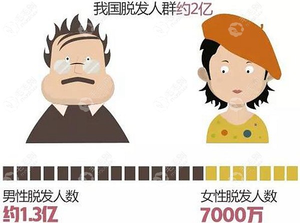 广州新生植发做女性nocut不剃发头发发缝加密多少钱?