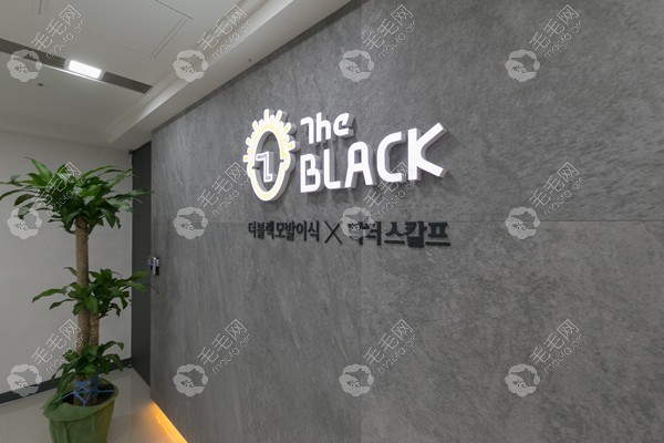 韩国the black 布莱克毛发移植医院