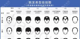 这里有男/女脱发1-7级的级别示意图与需要植发的单位数量