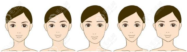 各种类型的眉毛适应的脸型