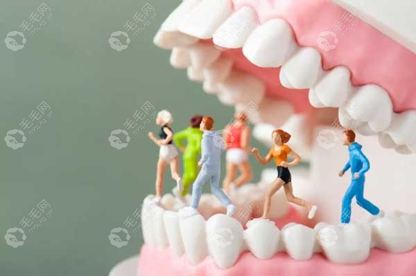 学历是决定牙科的根本