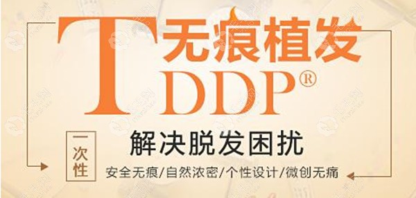 TDDP植发技术种植密度更高