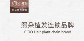 西安熙朵植发的DHT不剃发植发价格现在直降20000元起!