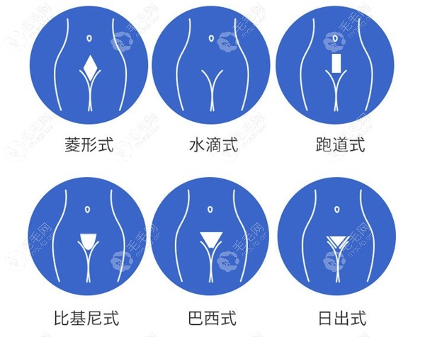 私密种植大概需要多少毛囊单位连比基尼种植的费用一并get