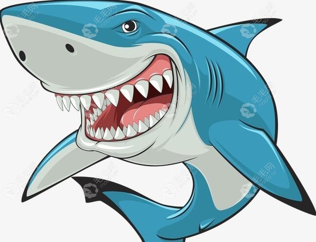 鲨鱼的牙齿动画图