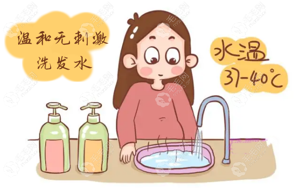 植发后第1次洗头发可以用温和洗发水