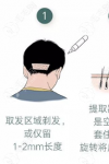 甘柳明