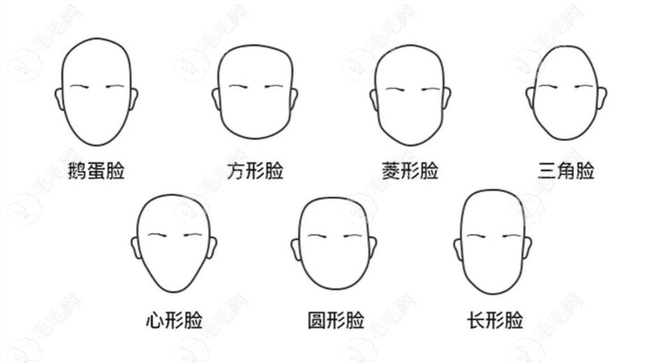 各种不同的脸型