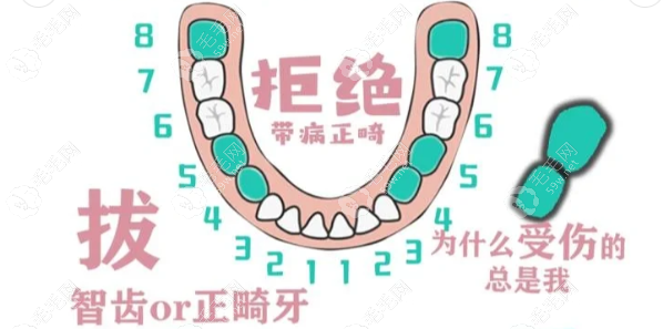 正畸拔4号牙和5号牙的区别是什么