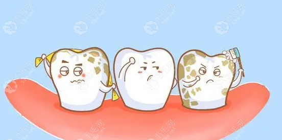门牙是牙齿中较早形成的牙齿之一