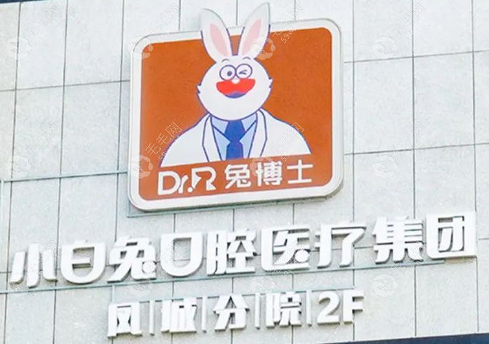 小白兔口腔为什么改名兔博士